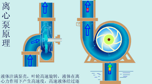 給（gei）水泵、給（ji）水泵別再傻傻分不清楚（內含動畫）