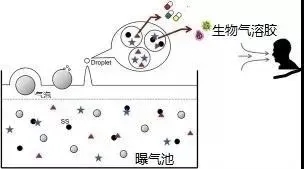 住建部：如何應(yīng)對(duì)新冠病毒從馬桶到水環(huán)境的潛在傳輸途徑？ 行業(yè)熱點(diǎn) 第3張