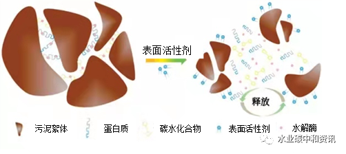 表面活性劑對(duì)污水處理效果的影響與機(jī)理 新聞資訊 第2張