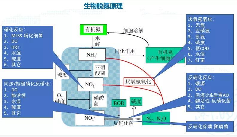 碳中和趨勢下污水處理節(jié)能降耗技術(shù)需求解讀 新聞資訊 第2張