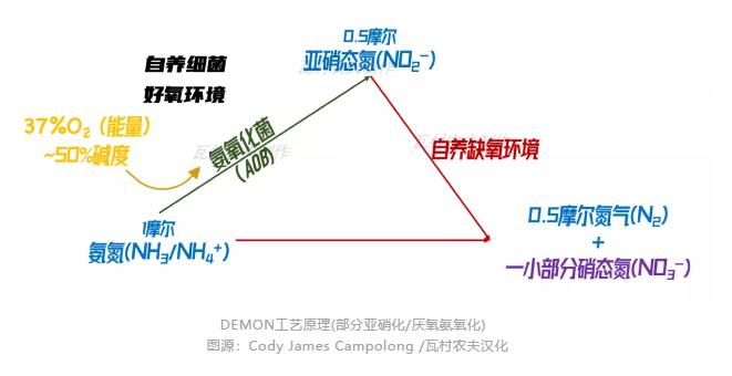 彎路變捷徑！美國首個(gè)主流anammox污水廠2023年面世？ 新聞資訊 第1張